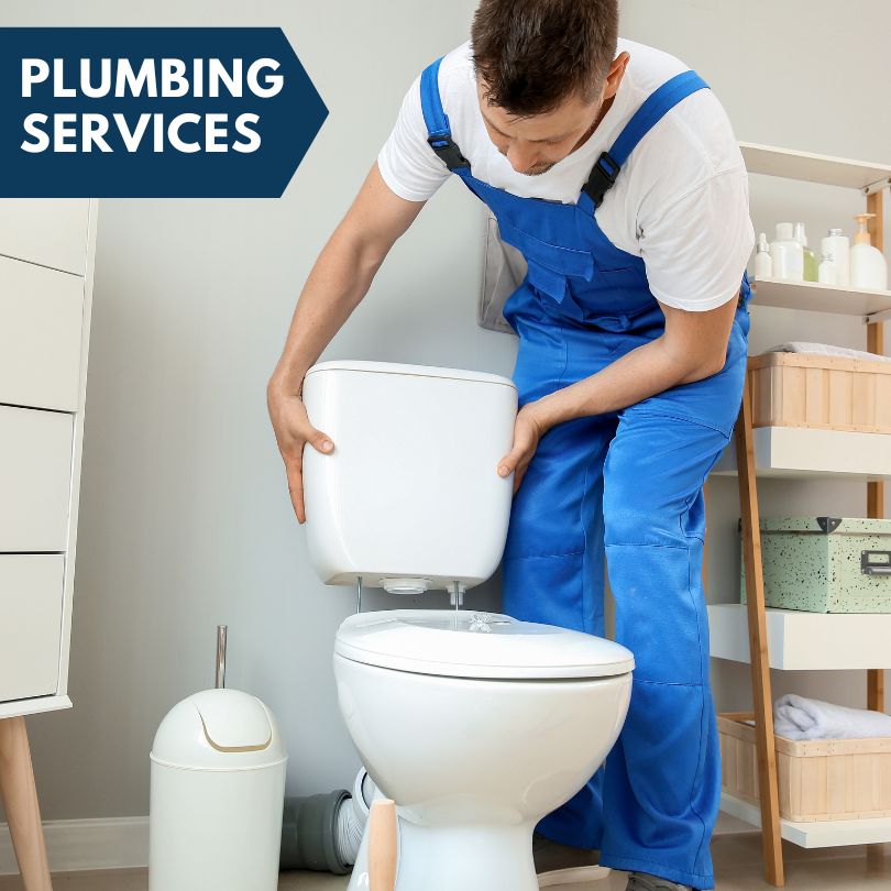 Plumbing Company in Leland, MI